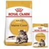 ROYAL CANIN ADULT Maine Coon 2kg und  Nassfutter in Soße 12x85g