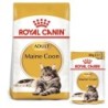 ROYAL CANIN ADULT Maine Coon 10kg und  Nassfutter in Soße 48x85g