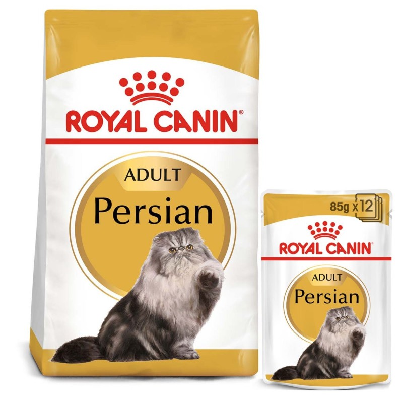 ROYAL CANIN ADULT Persian Trockenfutter 10kg und  Nassfutter 48x85g