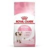 ROYAL CANIN KITTEN Trockenfutter für Kätzchen 2x10kg