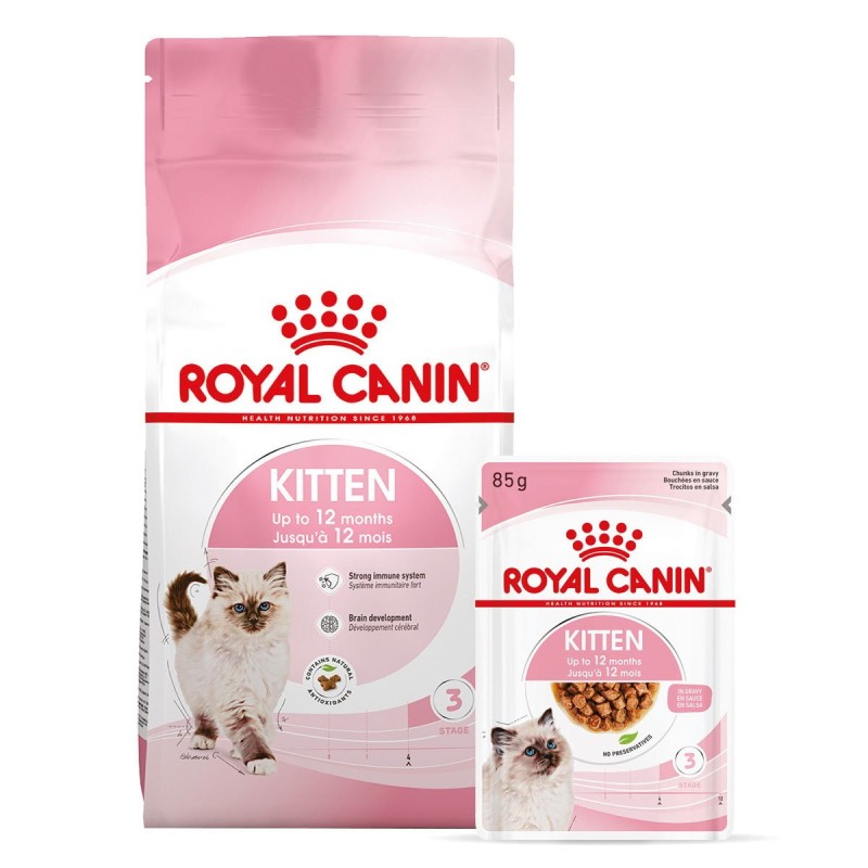 ROYAL CANIN KITTEN Trockenfutter 2kg und  Nassfutter in Soße 12x85g