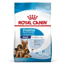 ROYAL CANIN MAXI Starter...