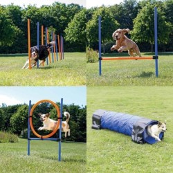 Trixie Dog Activity Agility...