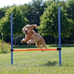 Trixie Dog Activity Agility...