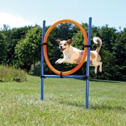 Trixie Dog Activity Agility...