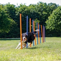 Trixie Dog Activity Agility...