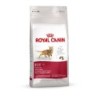 ROYAL CANIN FHN FIT Katzentrockenfutter 2 Kilogramm