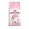 ROYAL CANIN FHN KITTEN Katzentrockenfutter 10 Kilogramm