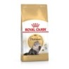 ROYAL CANIN FBN Persian Adult Katzentrockenfutter Sparpaket 2 x 10 Kilogramm