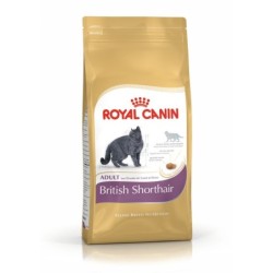 ROYAL CANIN FBN British...