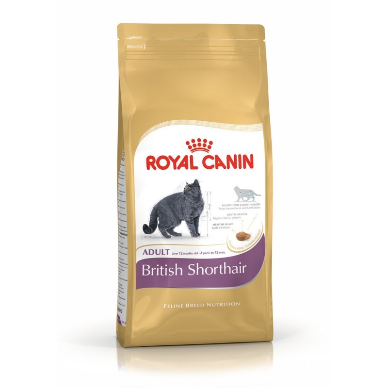 ROYAL CANIN FBN British Shorthair Adult Katzentrockenfutter 2 Kilogramm