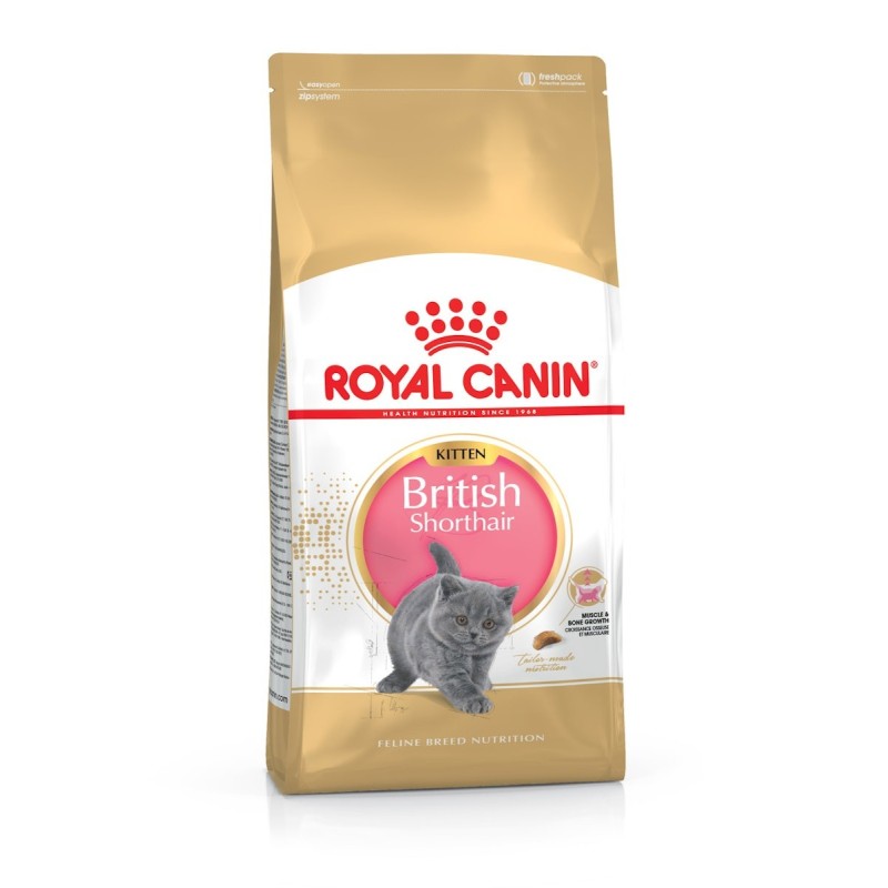 ROYAL CANIN FBN British Shorthair Kitten Katzentrockenfutter Sparpaket 2 x 2 Kilogramm