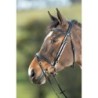 Trensen Reiten HFI Functional