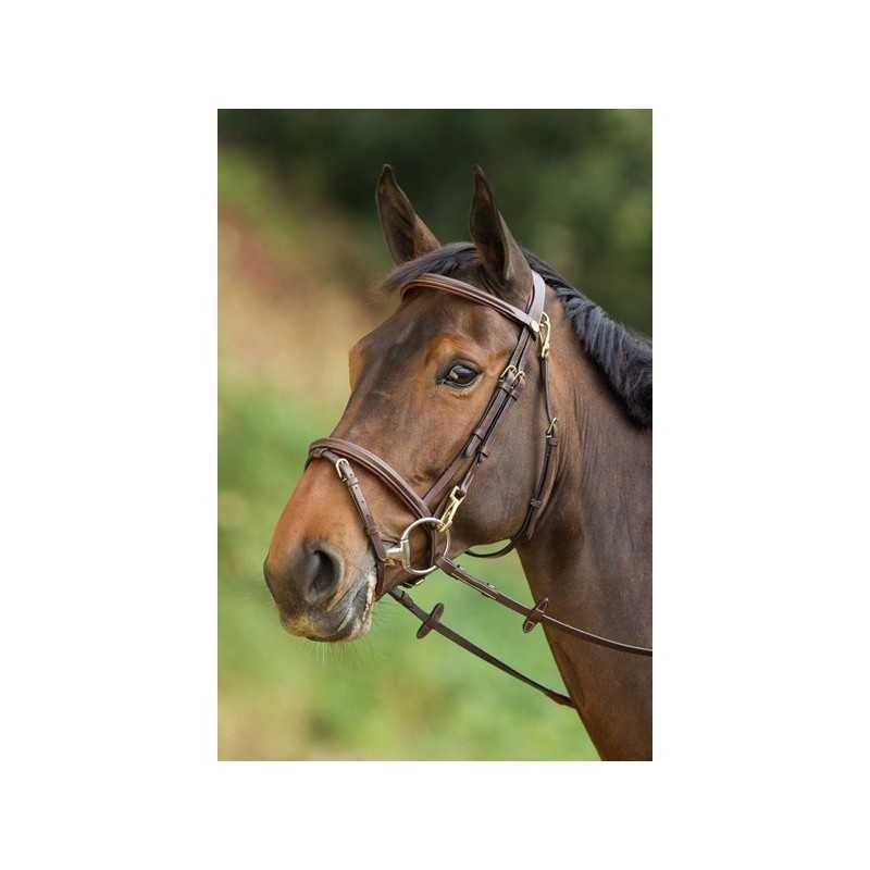 Trensen Reiten HFI Functional