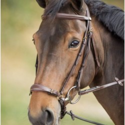 Zaumzeug Reiten HFI German