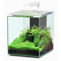 Aquatlantis Nano Cubic 30 LED Aquarium-Set weiß