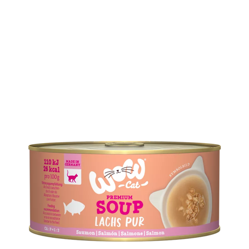 WOW Cat 70g Suppe mit Lachs