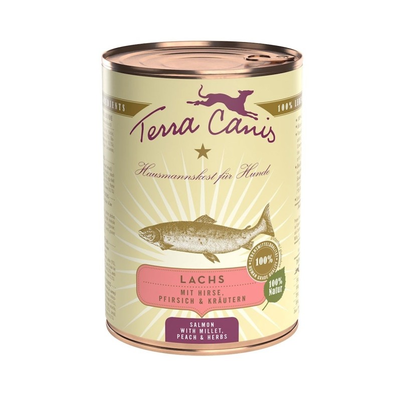 Terra Canis Classic 400g Dose Hundenassfutter Sparpaket 12 x 400 Gramm Lachs mit Hirse, Pfirsich & Kräuter