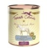 Terra Canis Classic 800g Dose Hundenassfutter 6 x 800 Gramm Pferd mit Amaranth, Pfirsich & roter Beete