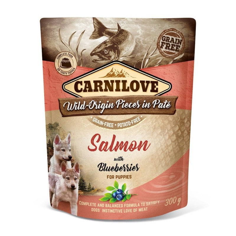 CARNILOVE Pieces in Paté 300 Gramm Hundenassfutter 12 x 300 Gramm Puppy Salmon with Blueberries