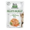 Brit Care Fillets in Jelly 85 Gramm Katzennassfutter Sparpaket 48 x 85 Gramm Tuna