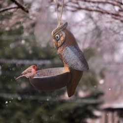 Einzigartige Vogelhäuschen,...