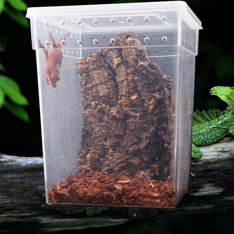 Reptilien-Futterbox, Vogelspinnen-Gehege, Schildkröten-Aquarium-Eidechsen-Behälter, transparente Tiere