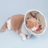 Pet Protective Collar Eye-catching Super Soft EVA Pet Cat Surgery Wound Healing Protective