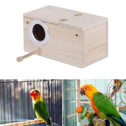 Parrot Security Lovebirds...