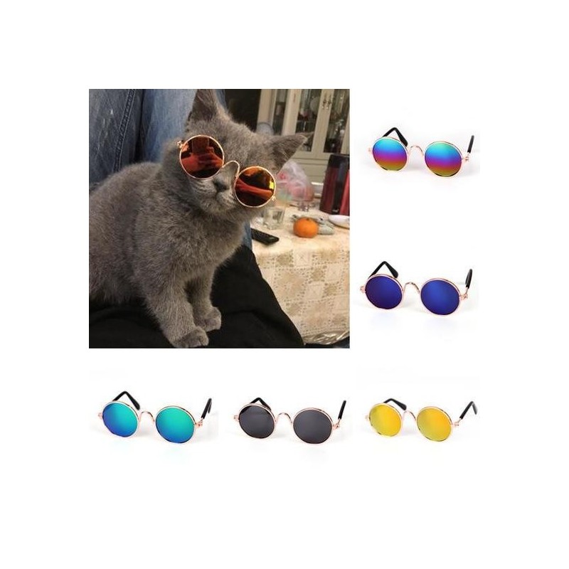 Haustierbrille, Katze, Sonnenbrille, Hund, Teddy, Persönlichkeit, lustiger Kopfschmuck