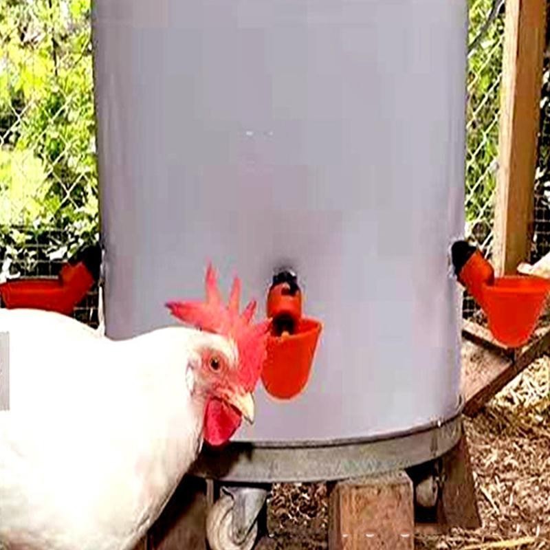 10 Stücke Huhn Vogel Henne Wasser Trinkbecher Auto Geflügel Trinker Feeder Nippel