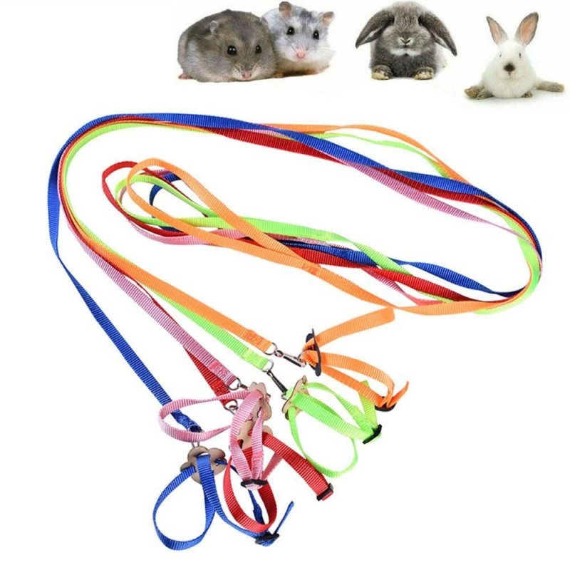 Parrot Pet Leash Training Rope Pet Harness Bird Collar Harness Reptile Leash Pet Traction Strap