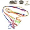 Parrot Pet Leash Training Rope Pet Harness Bird Collar Harness Reptile Leash Pet Traction Strap