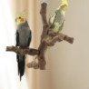 Wood Bird Barsch Stand Platform Cage Top Tree Chew Multi Branch Parrot PlayHome, Furniture & DIY, Home Décor, Birds & Birds!