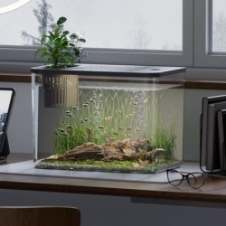 mit Deckel Fisch Tank PET +...