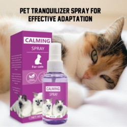 60ML Pheromon Katze...