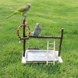 Bird Perch Stand, Parrot...