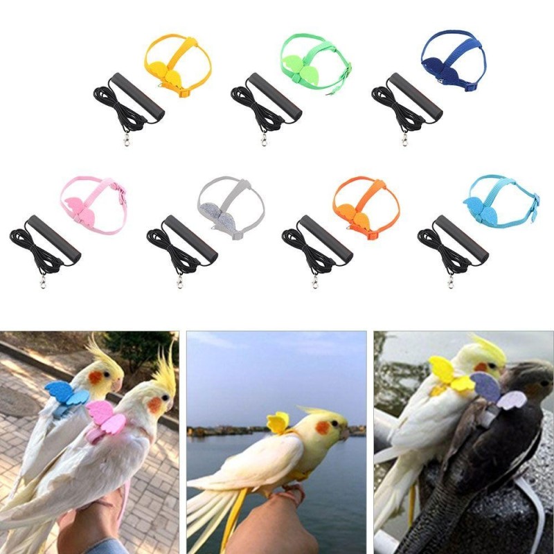 Outdoor Rope With Wing Bird Nylon Bird Traction Belt Flight Training Rope Bite Bird Harness