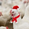 Haustier-Weihnachtskostüm-Set, 1 Set Huhn, Meerschweinchen, Eidechse, Haustier-Weihnachtskostüm-Set