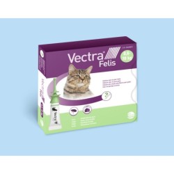 Pflege für Katzen Ceva Vectra