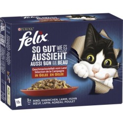 Felix So gut wie es...