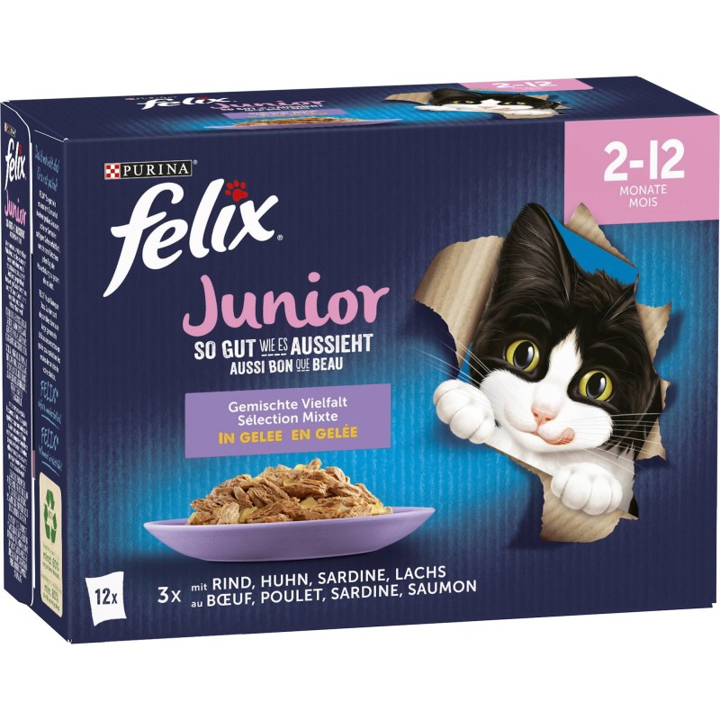 Felix So gut wie es aussieht Gemischte Vielfalt Junior 12x85g - 1.020 g