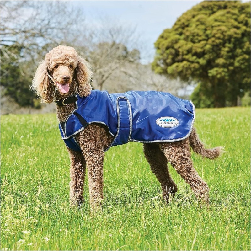 Hundemantel Weatherbeeta ComFiTec Windbreaker Free Deluxe