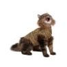 Medical Pet Shirt Katze - Leopard - XXXS