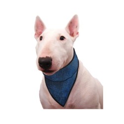 Aqua Coolkeeper Bandana -...