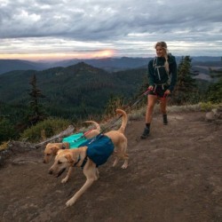 Ruffwear Front Range Day...