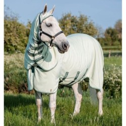 Outdoor-Decke für Pferde Horseware Rambo XL 0g