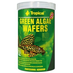 Tropical Green Algae Wafers...