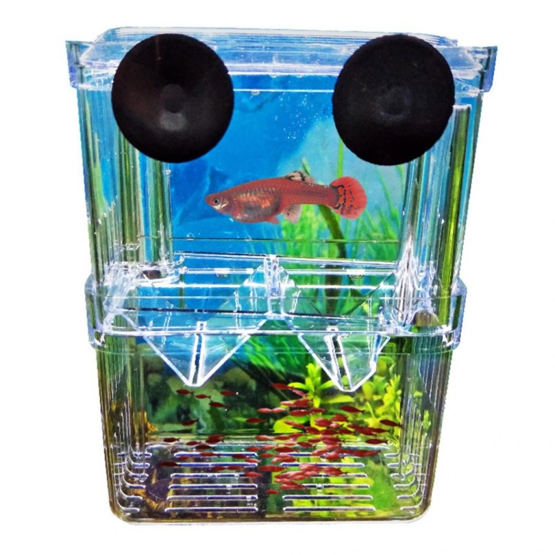 Kunststoff-Fischzucht-Isolations-Schutzbox für Aquarium, Bratfisch-Brüterei M