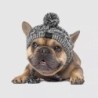 Französische Bulldoggen-Wollmütze mit offenen Ohren - warme Strickkopfbedeckung für kleine Hunde, perfekt für Herbst und Wint